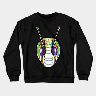 ZO color Crewneck Sweatshirt